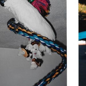 Meet your Posher, Karin